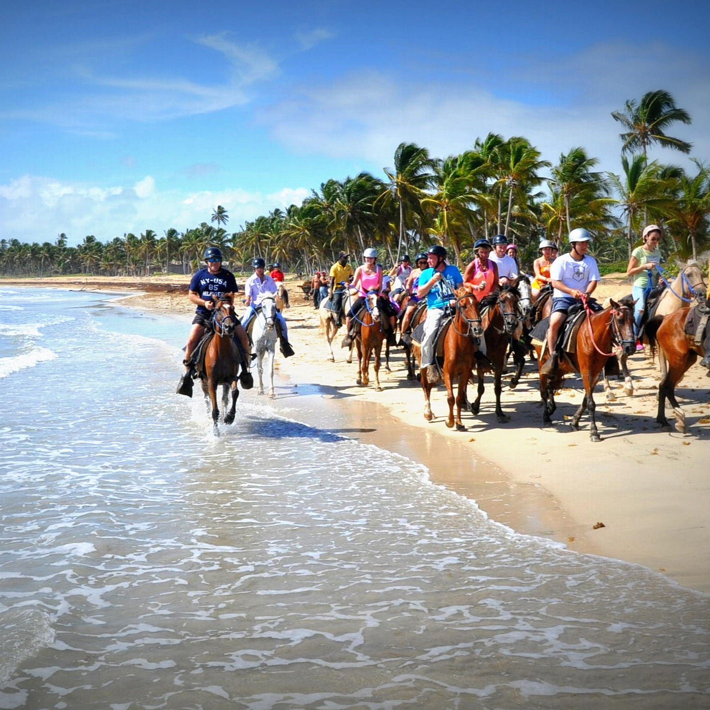 Caballo / Horseback Riding