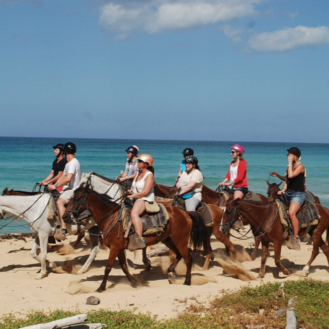 Combo Adventure: Buggy + Horse Ride + Zip Line + Ecotour Discovery