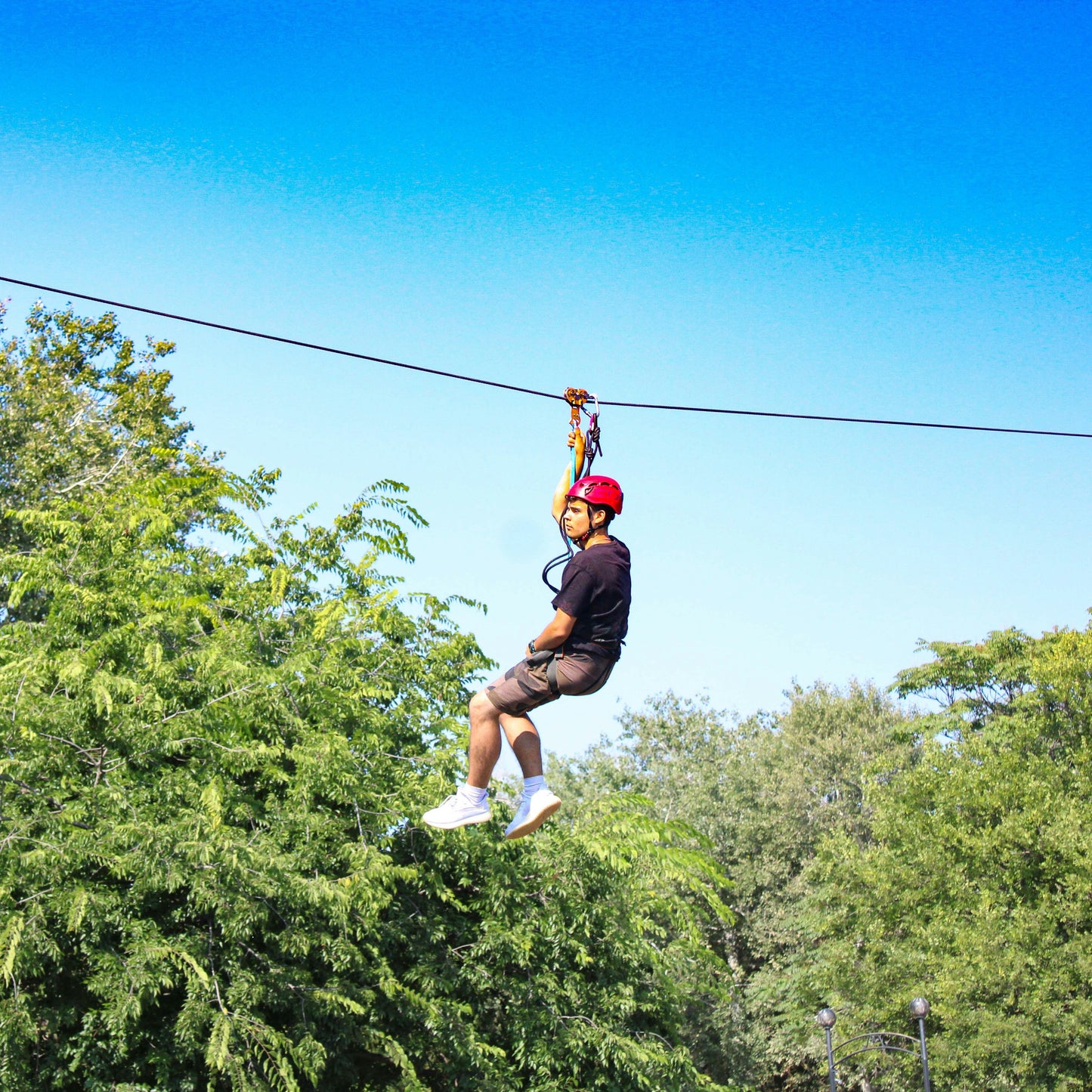 Zip Line