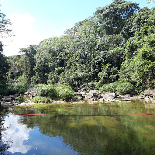 Combo Adventure: Buggy + Horse Ride + Zip Line + Ecotour Discovery