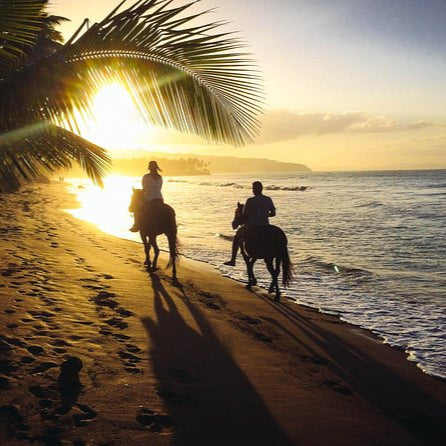 Caballo / Horseback Riding