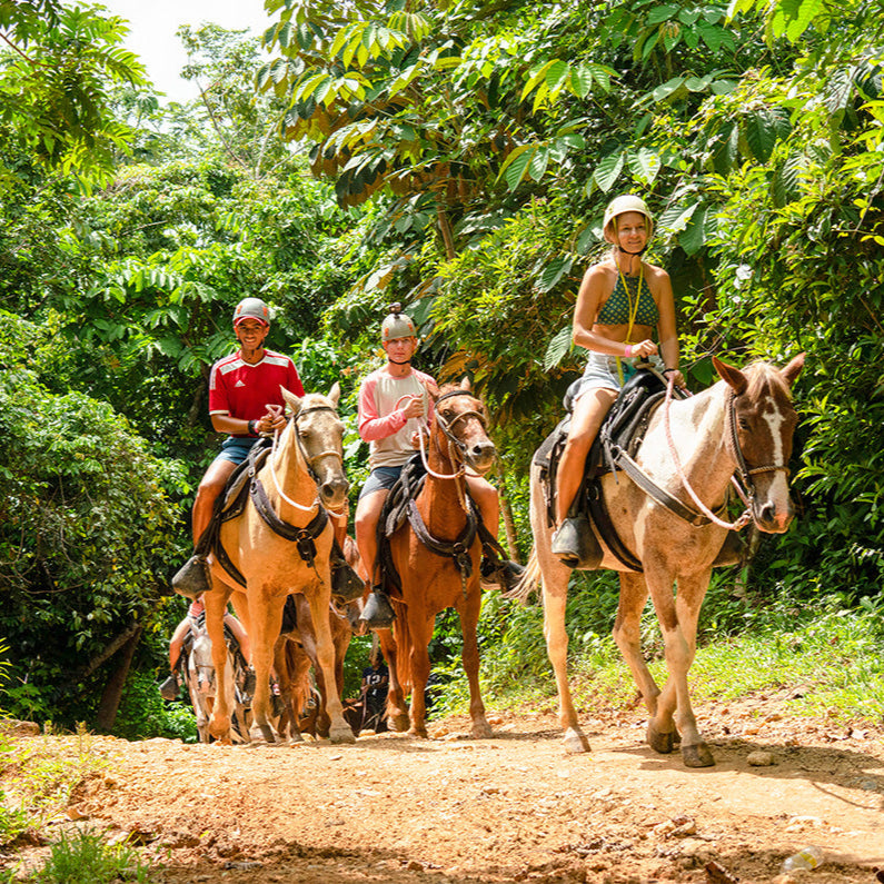 Caballo / Horseback Riding